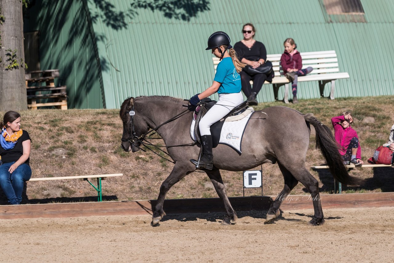 Bild 19 - Pony Akademie Turnier